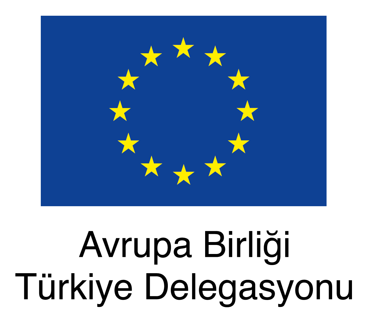 ab turkiye delegasyonu